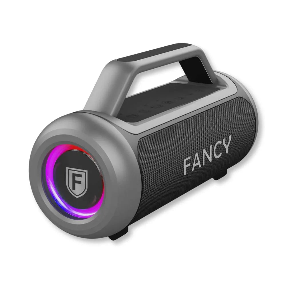 CAIXA DE SOM BLUETOOTH HEAVY BASS 100W FANCY - FX100