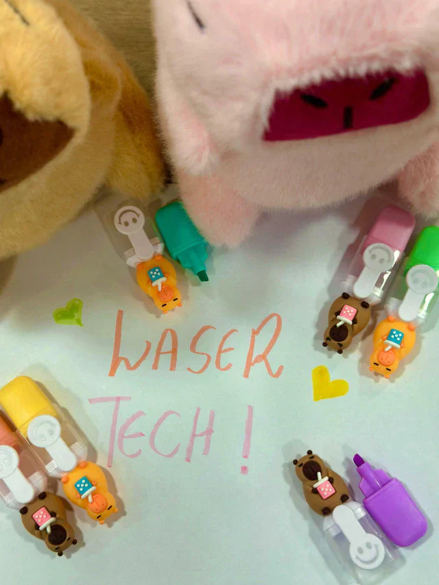 KIT 6 CANETINHAS MARCA TEXTO CAPIVARAS SX-396